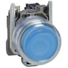 RXB4-BP61